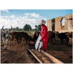 Trade Polycotton Conti Suit - Image 11