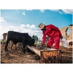 Trade Polycotton Conti Suit - Image 4