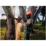 Site Premium Two-Tone Polycotton Jacket - Image 10