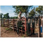 Site Premium Two-Tone Polycotton Jacket - Image 4