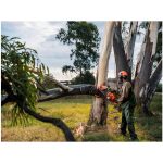 Site Premium Two-Tone Polycotton Jacket - Image 2