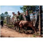 Site Premium Two-Tone Polycotton Jacket - Image 5