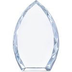 Altitude Trident Award - Image 9