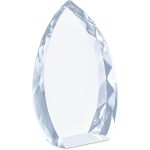 Altitude Trident Award - Image 2