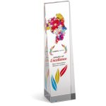 Altitude Hubris Award - Image 6