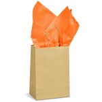 Altitude Ecological Digital Print Mini Paper Gift Bag 150gsm - Image 6