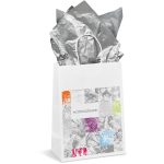 Altitude Animated Digital Print Midi Paper Gift Bag 200gsm - Image 5