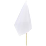 Champion Small Hand Flag 300mm x 200mm - Image 3