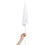 Champion Medium Hand Flag 450mm x 300mm - Image 2