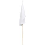 Champion Medium Hand Flag 450mm x 300mm - Image 4