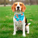 Pre-Printed Sample Hoppla Tyson Small Polyester Dog Bandana - Image 2