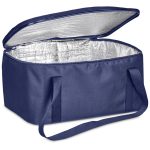 Pre-Production Hoppla Sudwala Food Delivery Cooler Bag - Image 14
