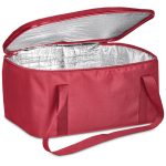 Pre-Production Hoppla Sudwala Food Delivery Cooler Bag - Image 3